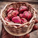 ​나랑 결혼해 줄래? 전 세계 다양한 약혼 문화 이미지