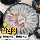 4817 | 대구 율하동횟집 <일진회> 제철 해산물 즐긴 율하회맛집 후기
