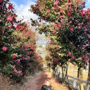 애월잔향펜션 이미지