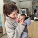 재하목장 이미지