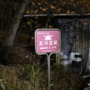 조서강묘 이미지