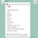 대구 가성비 아이폰스냅 가성비 후기 블리스스냅