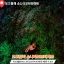 빛의 소나타 | [원주 여행] 빛의 소나타, 오크밸리 &#39;소나타 오브 라이트&#39; 솔직후기