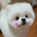 뭉치 이미지