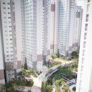 신안아파트 앞 상가 이미지