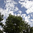 유라이브클럽 이미지