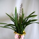 대훈유통 이미지