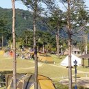 풍산단호로(풍산읍,남후면) 이미지