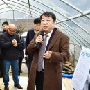 읍시장2 Queen 이코노미퀸