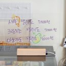 핑크랑보라 이미지