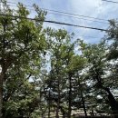 세븐일레븐 포천선단마을점 | 선단동 맛집 포천국수맛집 해룡마을국수집 선단점