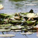 함평엑스포공원 이미지