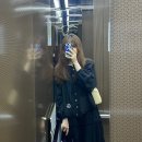 이프디앤 이미지