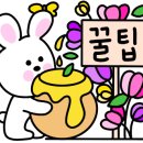 파인트리비 네이버블로그