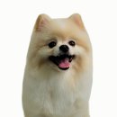 메모리멍 네이버블로그