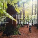 호텔와이오 이미지