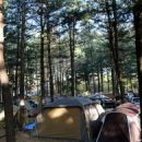 아트인아일랜드야영장 이미지