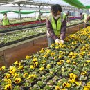 백양산 양묘장 이미지