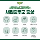 사상고등학교 이미지