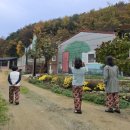 꽃피는산골스테이 이미지