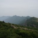 지영축산 이미지