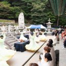 도리사로 이미지