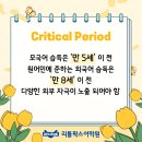 리틀팍스고양삼송어학원
