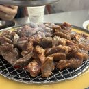 월평중학교 | 대전 마포갈매기 월평점 갈매기살 내돈내산 후기