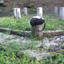 보만정지 이미지