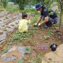 혜온농장 이미지