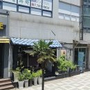 김용복참치 | 제주 노형 김용복참치 : 참치회 코스요리 / VIP 코스 솔직후기