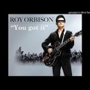 You Got It(Roy Orbison) 이미지