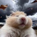 강경 국수 | 🥬오늘은 야채 가득 먹고 싶어서 다녀온 화도 맛집 강경불고기 화도점(솔직후기)