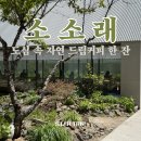 소3-51 | [ 칠곡 / 구암동 ] 칠곡의 햇살 가득한 과일 낙원, 대형 카페 " 소소래 " 내돈내산 리뷰