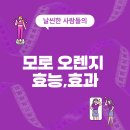 정화 슈퍼 | 모로오렌지(모로실오렌지) 다이어트 효능효과, 후기,부작용,제품, 가격 총정리