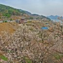 원동마을길 이미지