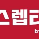 폼잡는개 이미지