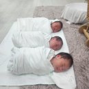 청주미즈맘산부인과의원 | 둘째출산기(1)-드디어 사랑이 탄생♡ 청주 미즈맘산부인과&amp;미즈맘산후조리원 후기