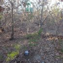 기룡산정상 이미지