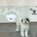 꽃내음나개 이미지