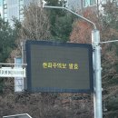 (주)원봉 | 딸기시루 픽업 후기 롯데백화점대전점 성심당 케이크부띠끄 웨이팅 정보