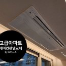 오아시스대치 이미지