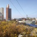 대운부동산공인중개사사무소 이미지