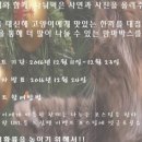 드림펫 이미지