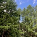 휘게목장 | 인기 캠핑장 정리! 수도권부터 제주까지 총정리