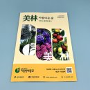 미림칼라 이미지