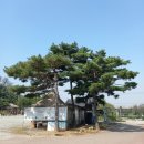 제일수도사 이미지