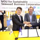 한국물산 이미지