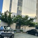 강남새약국 | 신암동) 통영횟집, 강남약국 대구공고 근처 회 맛집 추천