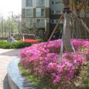 소만주공아파트 이미지